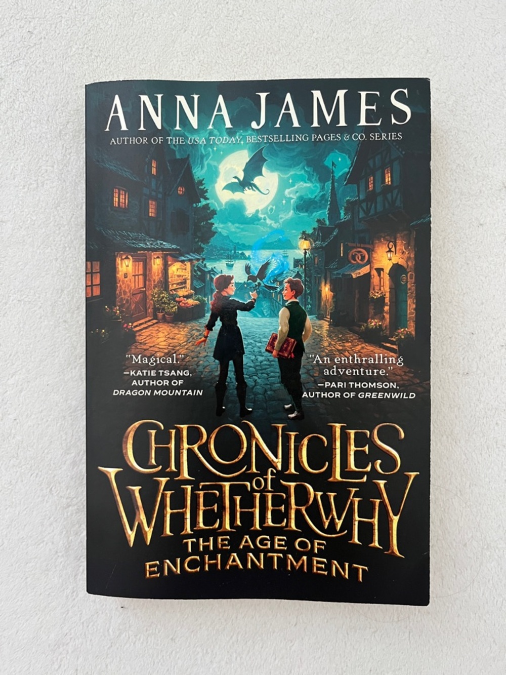 Chronicles of Whetherwhy book